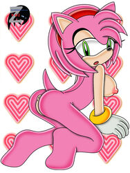 amy_rose beige_skin color female female_only fur furry hedgehog pink_fur sega skin solo sonic_(series) straight_hair zetar02