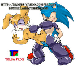 anthro archie_comics bent_over breasts bunnie_rabbot closed_eyes female fur hedgehog interspecies male mechanical_arm nude penis rabbit sega sex sex_from_behind sonic_(series) sonic_the_hedgehog straight straight_hair telsa_frog