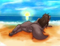 absurd_res anthro anus ass beach blush briwn_hair brown_body brown_fur brown_nose brown_tail canid canine canis female fur genitals hi_res keidran mammal natani pawpads presenting presenting_anus presenting_hindquarters presenting_pussy pussy rear_view sand skbld solo spread_butt spread_pussy spreading sunset tail twokinds water wolf