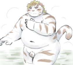 2024 anthro balls belly big_belly blush felid flaccid genitals hi_res humanoid_hands kemono licho_(tas) lifewonders male mammal micropenis moobs navel nipples overweight overweight_male pantherine penis ptcmtr small_penis solo tiger tokyo_afterschool_summoners water white_body