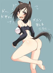 animal_ears ass blush bra breasts brown_eyes brown_hair dog_ears elbow_gloves kuroda_kunika medium_breasts short_hair strike_witches tail translation_request world_witches_series