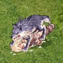 animated blonde_hair cum defeated defeated_heroine female hunter hunter_(ragnarok_online) monster monster_rape pixel_art ragnarok_online rape wolf zoophilia