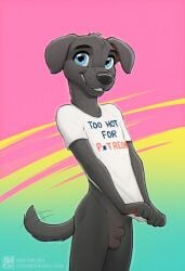 1boy adam_wan anthro balls black_fur blue_eyes bottomless canine clothed cub dog_boy genitals looking_at_viewer male male_only penis shirt shirt_pull smile sole_male solo solo_male tailwag testicles tommy_(zaush) young young_boy young_male zaush