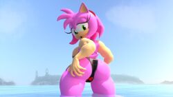Sonic (Series) Rule 34 Image
