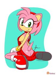 amy rose from sonic (series) by furboz