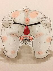 anus ass bear blush bulge clothing colored donuts72 looking_at_viewer male male_only mammal presenting presenting_hindquarters rear_view simple_background solo spreading thong white_background