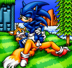 2017 absurdres anal anal_sex anthro balls big_eyes big_head canine duo erection fox furry happyanthro hedgehog highres male mammal nude penetration penis sex sonic_(series) sonic_the_hedgehog sonic_the_hedgehog_(series) sonic_the_hedgehog_2 tails toony yaoi