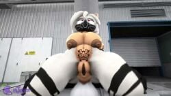 3d anal animated big_breasts fan_character large_breasts oc opennsfwsp plumenjoyerse sonic_(series) sonic_the_hedgehog_(series) sound tagme video white_hair ymbpa5475