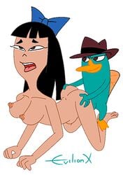 animated bow disney female feral from_behind_position hat interspecies larger_female nipples perry_the_platypus phineas_and_ferb sex size_difference stacy_hirano tearing_up white_background zoophilia