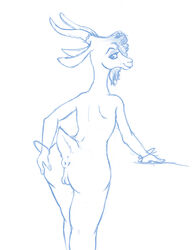 antelope anthro anus ass blue_and_white disney female gazelle gazelle_(zootopia) hand_on_ass horn looking_at_viewer looking_back mammal monochrome nude nyar presenting presenting_hindquarters pussy raised_tail rear_view simple_background solo standing white_background zootopia