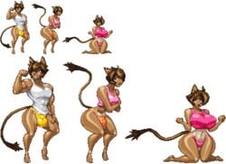 anthro ass_expansion big_breasts bikini breast_expansion breasts bulge casetermk clothing feline female gender_transformation invalid_tag male mammal mtf_transformation muscular rokiloki shirt swimsuit thick_thighs thong transformation transparent_background unnoticeableperson wide_hips