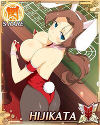 hijikata (senran kagura) from senran kagura