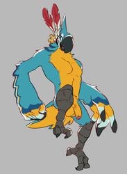 1boy avian breath_of_the_wild flookz kass_(zelda) male male_only nintendo penis rito solo the_legend_of_zelda video_games