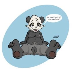 anthro bear breasts chunkypandaroo dreamworks_smirk female generation_6_pokemon genitals hi_res looking_at_viewer mammal nintendo pancham pokemon pokemon_(species) pussy solo spread_legs spreading teasing teasing_viewer