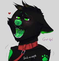 anthro canine canine collar corgi cum cum_on_face fur heart mammal mika(iziikaza) open_mouth simple_background soul-of-akira teeth tongue