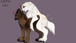 blush_lines brown_eyes brown_fur canine domestic_dog feral feral_penetrating_feral fluffy fluffy_chest german_shepherd hearts_around_head holding_hips humping male male/female maremma_sheepdog moaning motion_lines mounting moving_hips original_characters sex simple_background slamming smile standing tail_to_side thrust_lines uploaded_by_artist vaginal_penetration white_fur