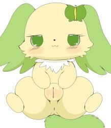 accessory anthro anus aroused ass azuo bedroom_eyes blush butterfly_clip canid canine canis chest_tuft chibi clitoris digital_drawing_(artwork) digital_media_(artwork) digitigrade domestic_dog female fluffy fluffy_ears fluffy_tail fur genitals green_ears green_eyes green_tail hair_accessory hairclip half-closed_eyes hi_res jewelpet mammal narrowed_eyes papillon peridot_(jewelpet) plump_labia presenting presenting_pussy pussy pussy_squish sanrio seductive sega_fave semi-anthro short_stack simple_background solo spread_legs spreading tail thick_thighs toy_dog tuft yellow_body yellow_fur