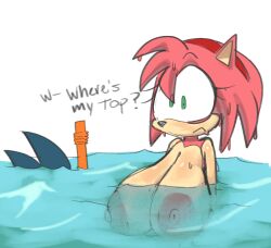 amy rose from sonic (series) by lewdmcgill