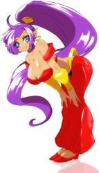 shantae (character) from shantae by hudie jun