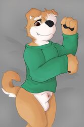 animal_genitalia anthro balls black_nose bottomless brown_eyes canine canine clothed clothing fur male mammal pawpads sheath simple_background solo sweater white_fur wulfanite