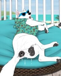 absurd_res anus backsack balls blake_(consensualcanine) bodily_fluids canid canine canis claws consensualcanine cum cum_from_ass cum_in_ass cum_inside domestic_dog eyewear feral fur genital_fluids genitals german_shepherd herding_dog hi_res male mammal pastoral_dog pawpads paws quadruped solo sunglasses tail white_body white_fur