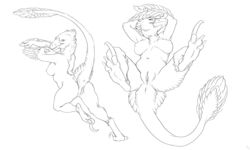 2017 acidapluvia anthro anus armpits ass breasts claws dinosaur feathers female looking_at_viewer looking_back lying monochrome nipples nude on_back pussy raised_tail raptor rear_view simple_background sketch solo theropod toe_claws