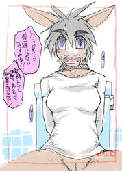 blue_eyes breasts camera equine hair horse japanese_text looking_at_viewer lovehinba mammal nervous pussy sitting spread_legs spreading sweat text toilet translation_request