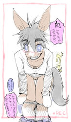 anthro big_ears blue_eyes blush breasts camera clothed clothing equine fur furry hair horse japanese_text looking_at_viewer lovehinba mammal panties panties_down pants_down partially_clothed pussy text translation_request underwear undressing