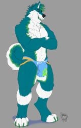 2023 anthro artist_logo blue_clothing blue_jockstrap blue_underwear canid canine canis claws clothed clothing crossed_arms curled_tail digitigrade domestic_dog feet finger_claws fur gloves_(marking) green_body green_claws green_eyes green_fur green_highlights green_pawpads green_tongue grey_background hair hi_res highlights_(coloring) husky jockstrap jockstrap_only kyojufolf logo male mammal markings multicolored_body multicolored_fur navel nordic_sled_dog open_mouth pawpads pecs simple_background solo spitz tail teal_body teal_fur teal_hair toe_claws toeless_(marking) toki_(tokihusky) tongue topless underwear underwear_only white_body white_fur