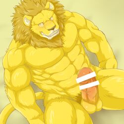 abs anthro biceps feline fur furry lion male male_only mammal muscular muscular_male pecs wildheit