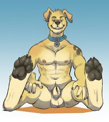 animal_genitalia anthro canine character_request collar ear_piercing flaccid furgonomics furry-specific_piercing genital_piercing golden_retriever grin looking_at_viewer male male_only mammal nastyspook nipples nude original original_character pawpads penis piercing sheath sheath_piercing sitting smile solo testicles