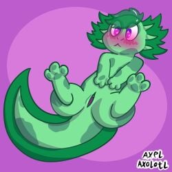 amphibian animal_genitalia axel_axolotl_(artist) axel_the_axolotl axolotl blush cloaca digital_media_(artwork) embarrassed female feral genitals green_body hair marine mole_salamander nude pussy salamander shy simple_background solo tail