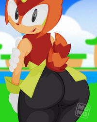Sonic (Series) Rule 34 Image