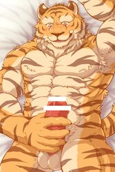 abs anthro biceps feline fur male male_only mammal muscular muscular_male pecs tiger wildheit