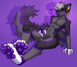 absurd_res anthro balls bedroom_eyes big_feet blush canid canine canis feet fluffy fluffy_tail foot_focus fruit_(fruit-wolf) genitals grey_body heart_symbol hi_res humanoid_genitalia konejo leaning leaning_backward looking_at_viewer male mammal narrowed_eyes pawpads penis penis_grab purple_blush purple_eyes purple_pawpads purple_penis seductive simple_background solo tail wolf