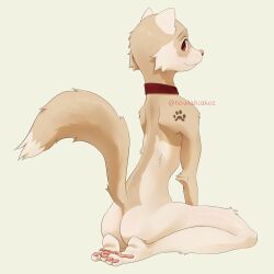 anthro artistic_nude artistic_nudity ass collar ferret furry fursona howlahcakez red_eyes