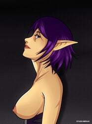 1girls breasts elf female looking_at_viewer paladins purple_eyes purple_hair skye_(paladins) solo studioberuni twilight_skye