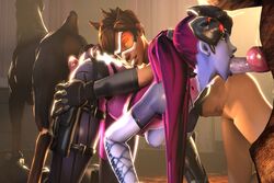 2girls 3d animated bestiality blizzard_entertainment blueberg cum curvy dog fellatio female foursome human interspecies licking male no_sound oral oral_sex overwatch penis source_filmmaker straight tongue tracer voluptuous video widowmaker zoophilia