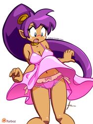 shantae (character) from shantae by furboz