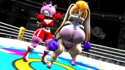 2girls 3d 3d_(artwork) age_difference amy_rose arena big_breasts big_thighs boots boxing boxing_gloves boxing_ring breasts bunny bunny_ears bunny_girl curvaceous curvy curvy_body curvy_figure duo duo_female duo_focus female female_only fight fighting fighting_ring gloves hedgehog hedgehog_girl huge_boobs huge_breasts humanoid kabalmystic leotard milf mommy mother pink_fur pink_hair punch punching punching_face rabbit rabbit_ears rabbit_girl rabbit_tail red_boxing_gloves red_gloves ryona sega shoes short_hair short_hair_female shorts sonic_the_hedgehog_(series) sports_bra sunboye sunboye_(artist) thick_thighs thighhighs thighs vanilla_the_rabbit violet_boxing_gloves violet_gloves wide_hips