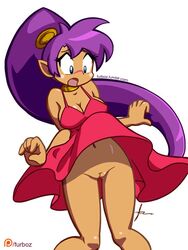 blue_eyes blush bottomless breasts dress embarrassed embarrassed_nude_female enf female furboz large_breasts midriff nightgown ponytail purple_hair shantae shantae_(character) smooth_skin solo sundress tied_hair upskirt vagina wardrobe_malfunction wayforward