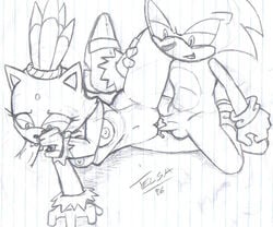 2006 anthro blaze_the_cat cat feline female fur furry hedgehog male mammal sega sonic_(series) sonic_the_hedgehog straight straight_hair telsa