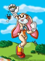 brainsister cream_the_rabbit dr_robotnik female sega sonic_(series) straight_hair young