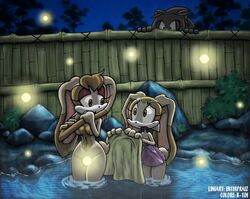 anthro breasts cream_the_rabbit female front_view fur mammal multiple_females multiple_girls night nude outdoors praiz rabbit sega sonic_(series) standing straight_hair tagme towel vanilla_the_rabbit water