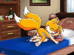 anthro bed canine cream_the_rabbit cum female fox fur furry_tail indoors interspecies male mammal multi_tail rabbit sega sex side_view sonic_(series) straight straight_hair tagme tail tails twotails young