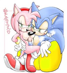 amy_rose anthro censored erosuke female fur hedgehog male mosaic_censoring penis sega sonic_(series) sonic_the_hedgehog straight