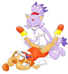 anthro anthro_female anthro_only blaze_the_cat clothing cream_the_rabbit dildo double_dildo dress dress_lift furry furry_female furry_only mobian_(species) pubic_hair sega sonic_(series) straight_hair strapless_dildo syberfox yuri