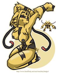 electivire female nintendo pokemon tagme