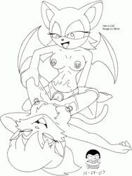 2003 2d 2girls black_and_white cleo_catillac female female_only line_art mobian mobian_(species) mobian_bat rouge_the_bat sega sonic_(series) sonic_adventure_2 sonic_the_hedgehog_(series) straight_hair the_catillac_cats vorikin