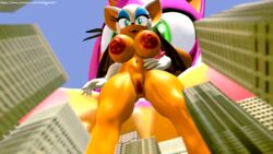 3d 3d_model amy_rose anthro big_breasts breasts female furry macro mobian mobian_(species) mobian_bat nude pov pussy rouge_the_bat sega sonic_(series) sonic_adventure_2 sonic_the_hedgehog_(series) source_filmmaker telehypnotic